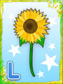 Thumbnail for version as of 03:12, 31 May 2016